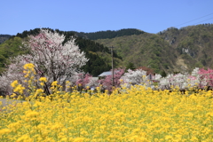 汽車を待てずに１