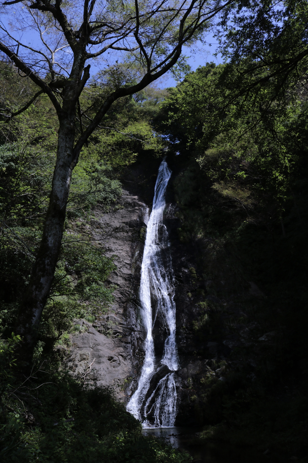 布ヶ滝　全景