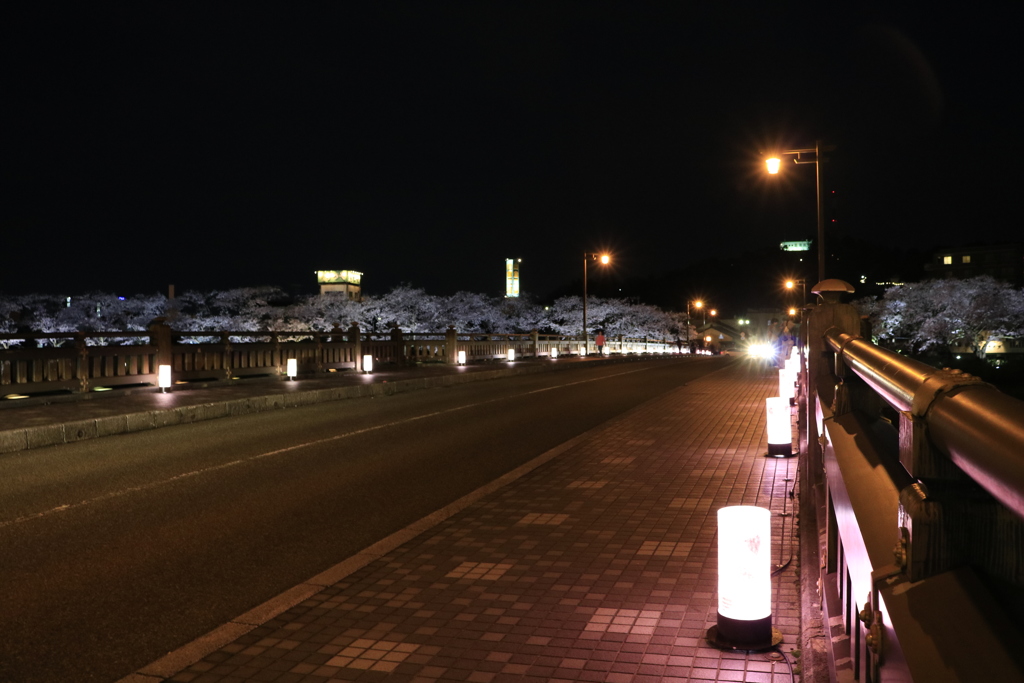桜　橋　ライトアップ