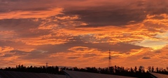 SUNRISE NOW