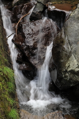 浄法寺山　的川