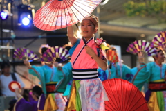 越前一張羅