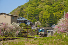 来た！