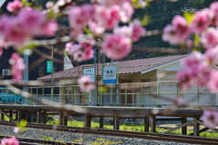 勝原駅