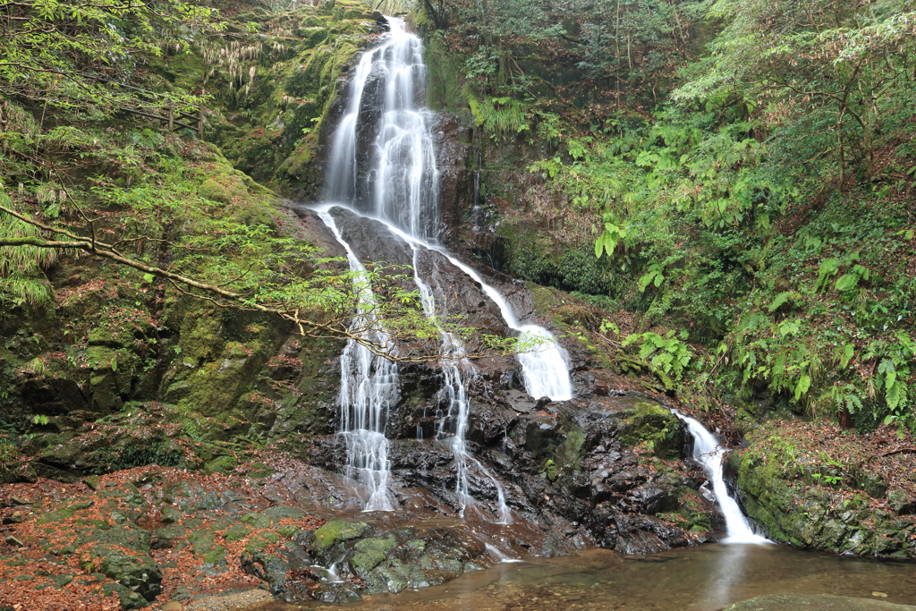 秋芳　白糸の滝