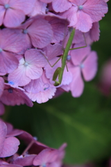 何か