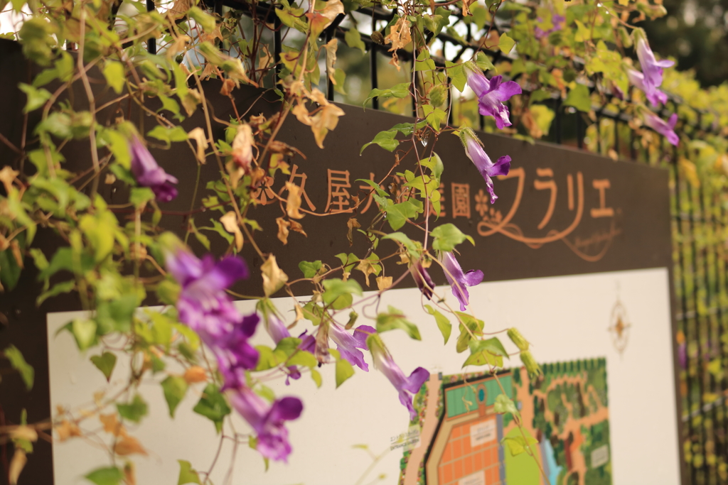 久屋大通公園フラリエ
