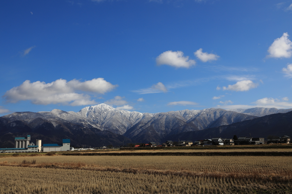 ようやく雪化粧