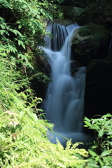 瀧ヤ谷渓谷　魚止の滝