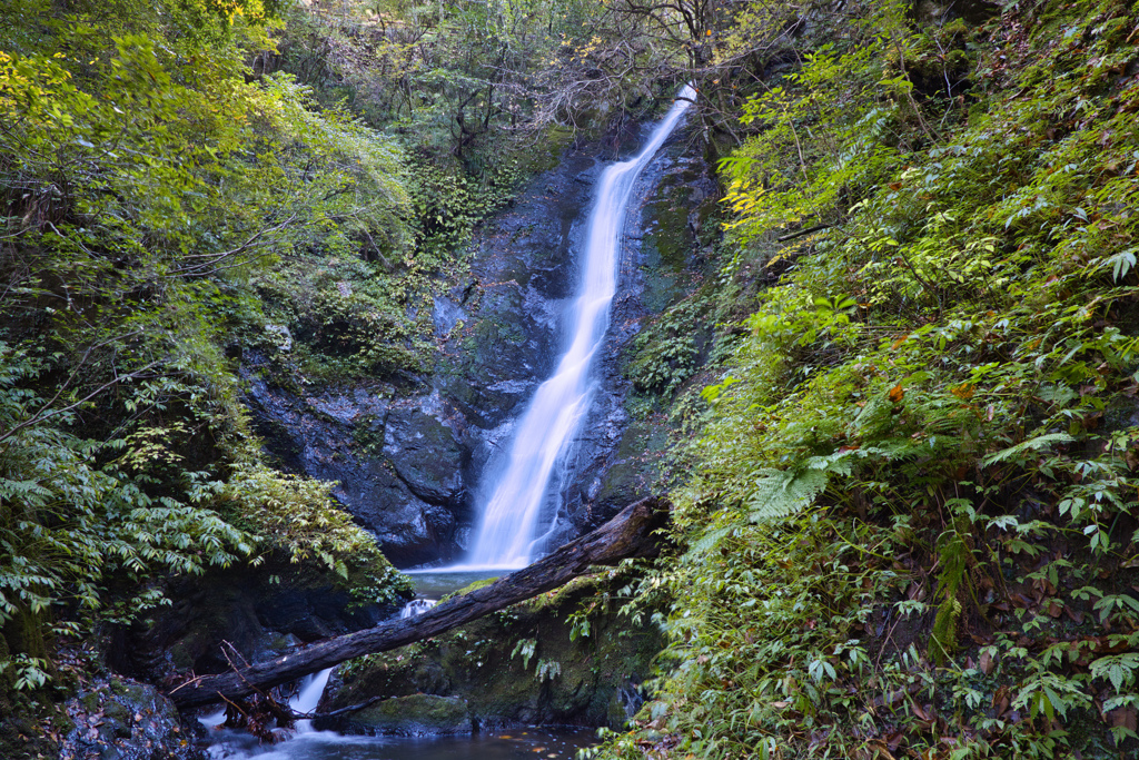 野鹿の滝