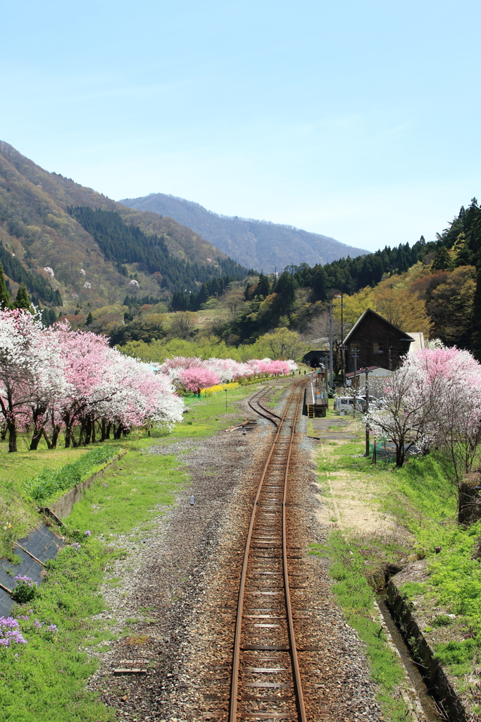 この場所で