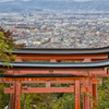 伏見稲荷 四ツ辻から眺望