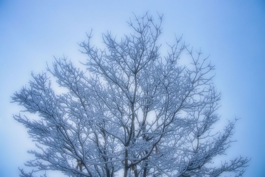 雪を楽しむ３