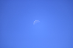 どこまでも青い空と白昼の月