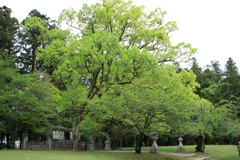 熊野本宮大社　旧社地　大斎原