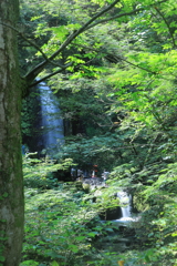 涼を求めて５（一乗滝）