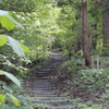大杉参道