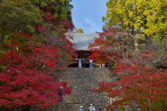 紅葉の名所