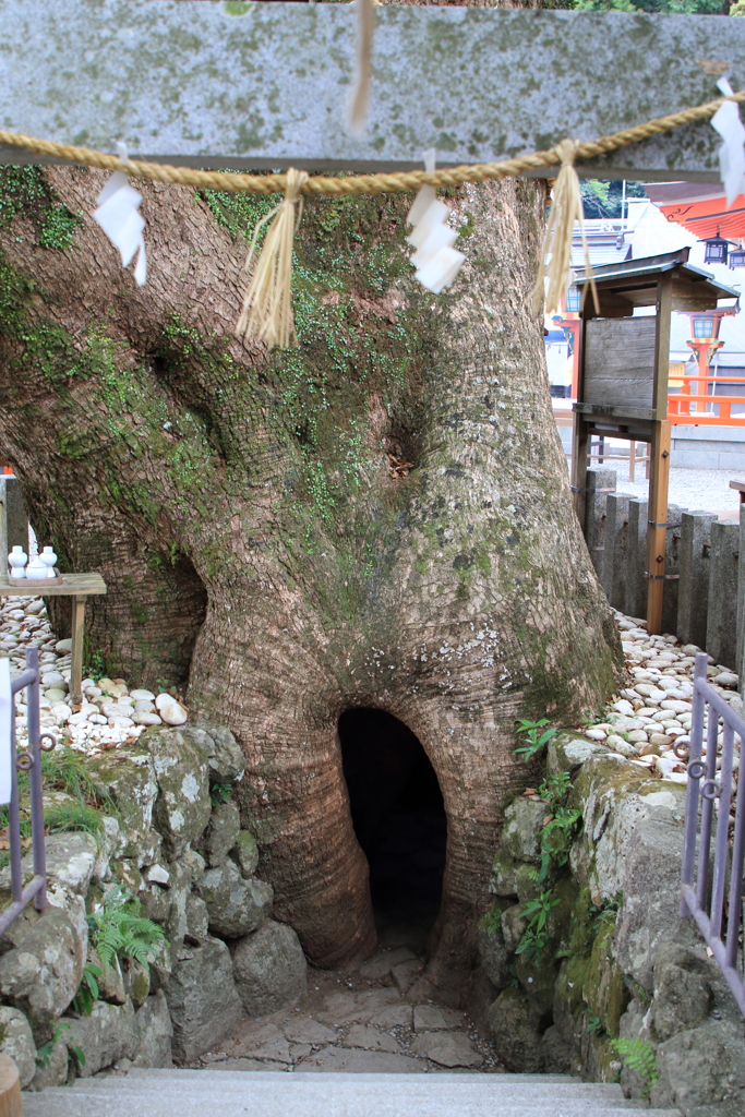 楠霊社　胎内くぐり