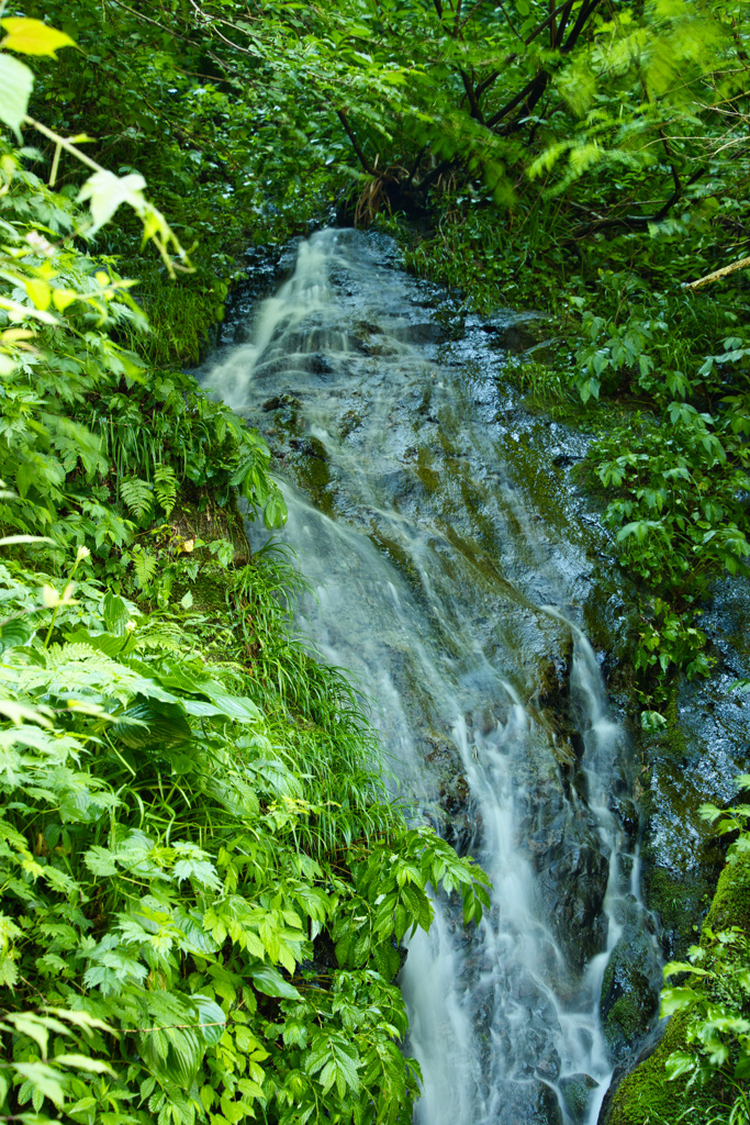 龍ヶ鼻ダム湖の滝口