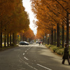 WALK