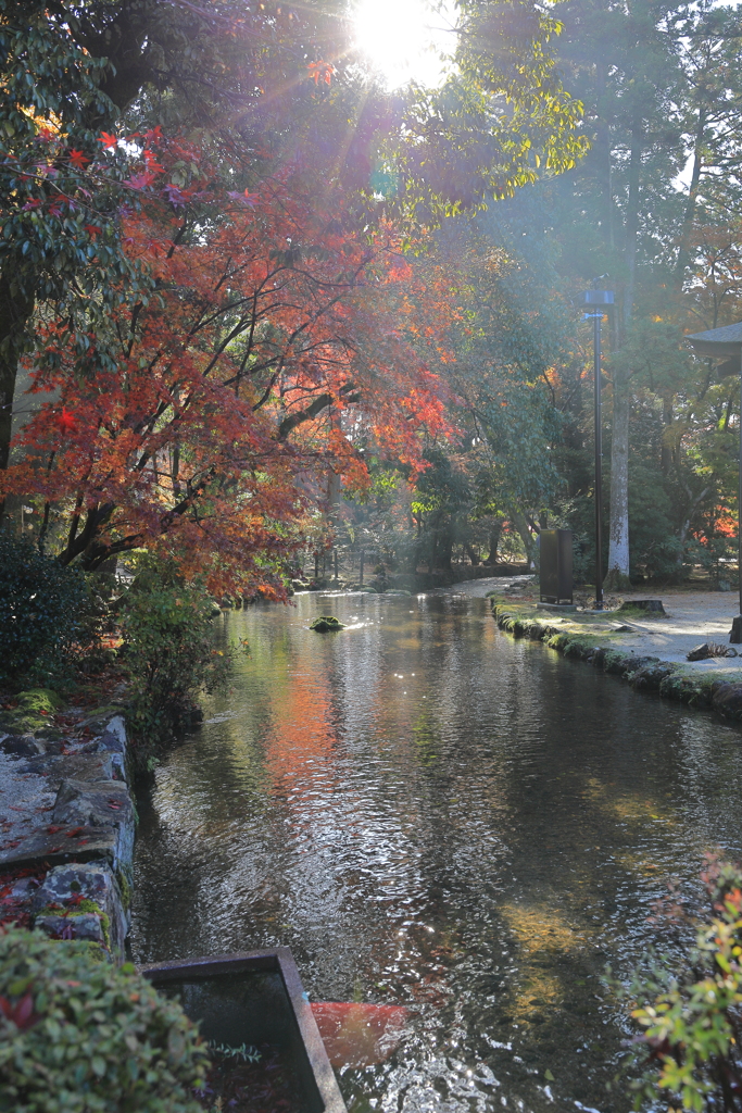 ならの小川