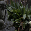 金沢香林寺２