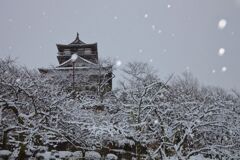 雪の霞ヶ城