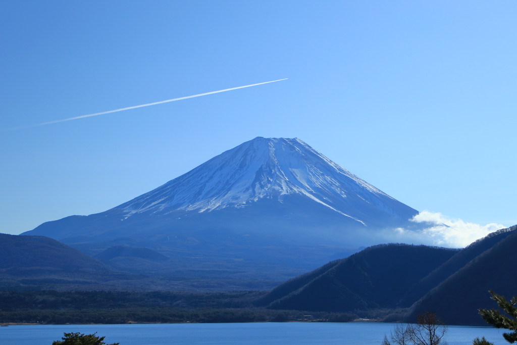 青空に映え