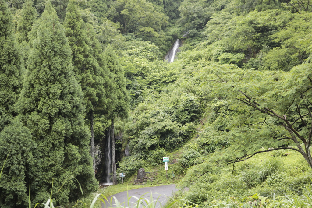 浄めの滝 遠望