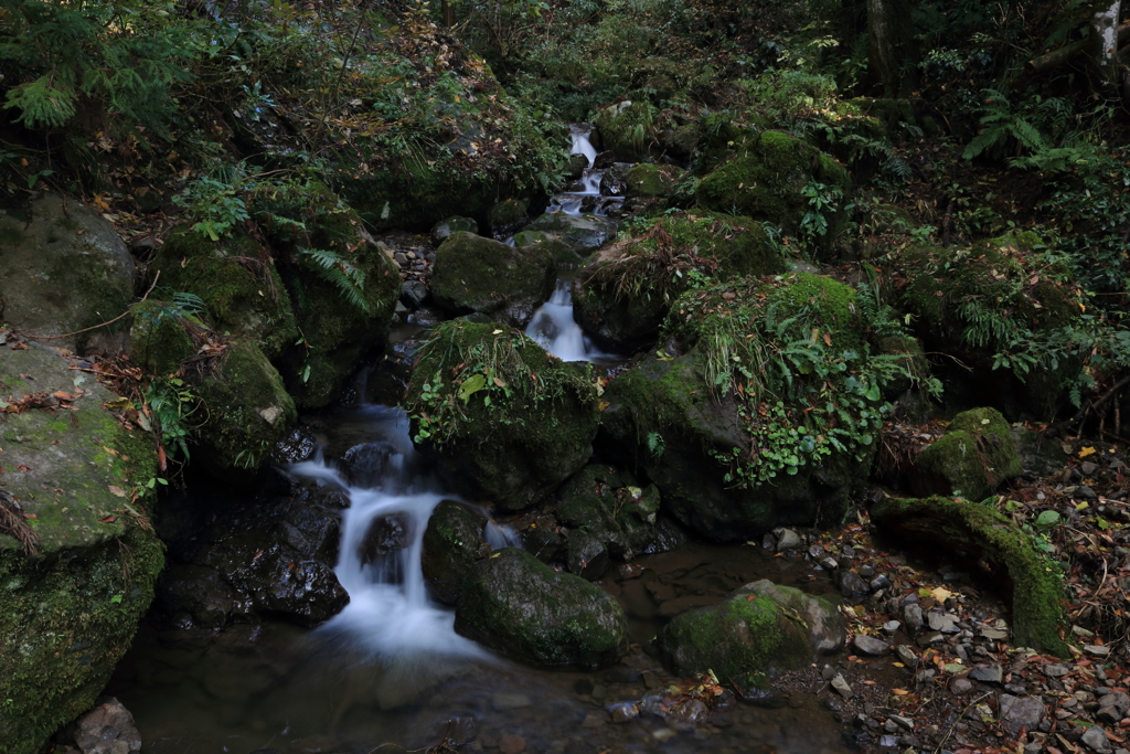 柳の滝　渓流