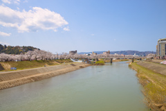幸橋から桜橋　