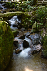 滝馬川渓流