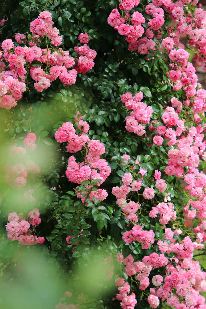 記念公園にて４