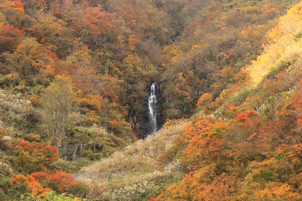 紅葉の八反滝　遠望