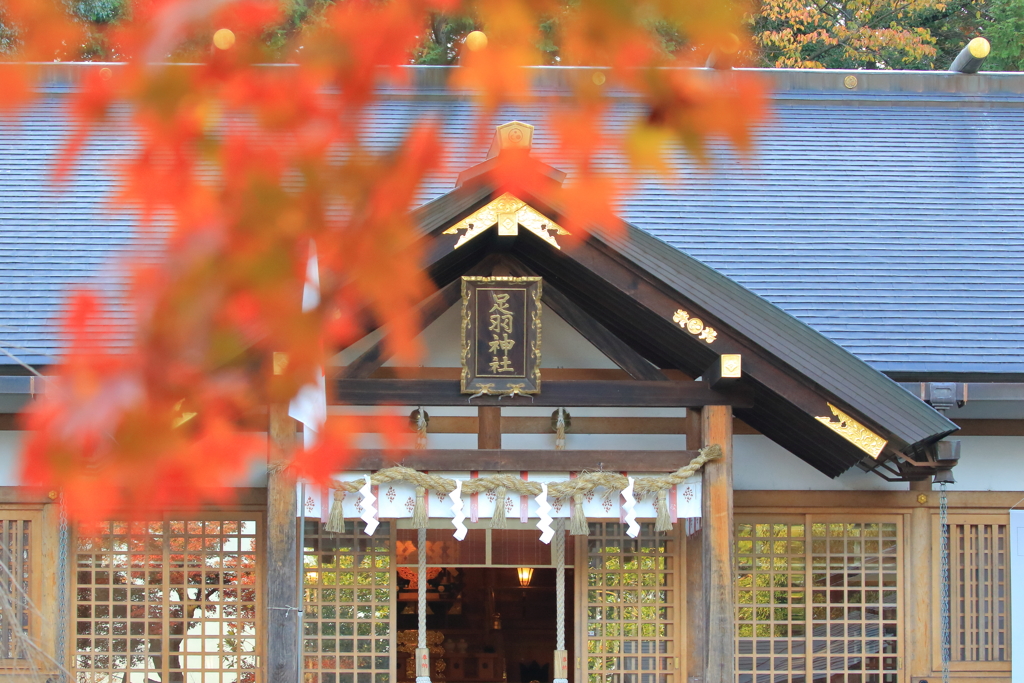 足羽神社