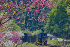 去る
