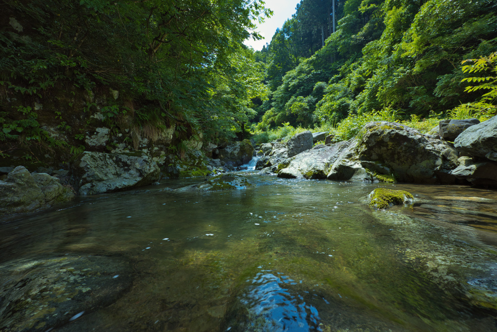 榿ノ木谷川渓流１