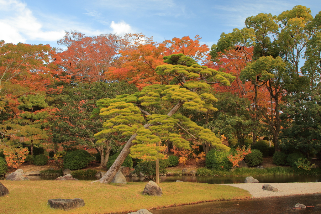 日本庭園