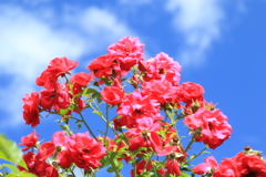 記念公園にて３