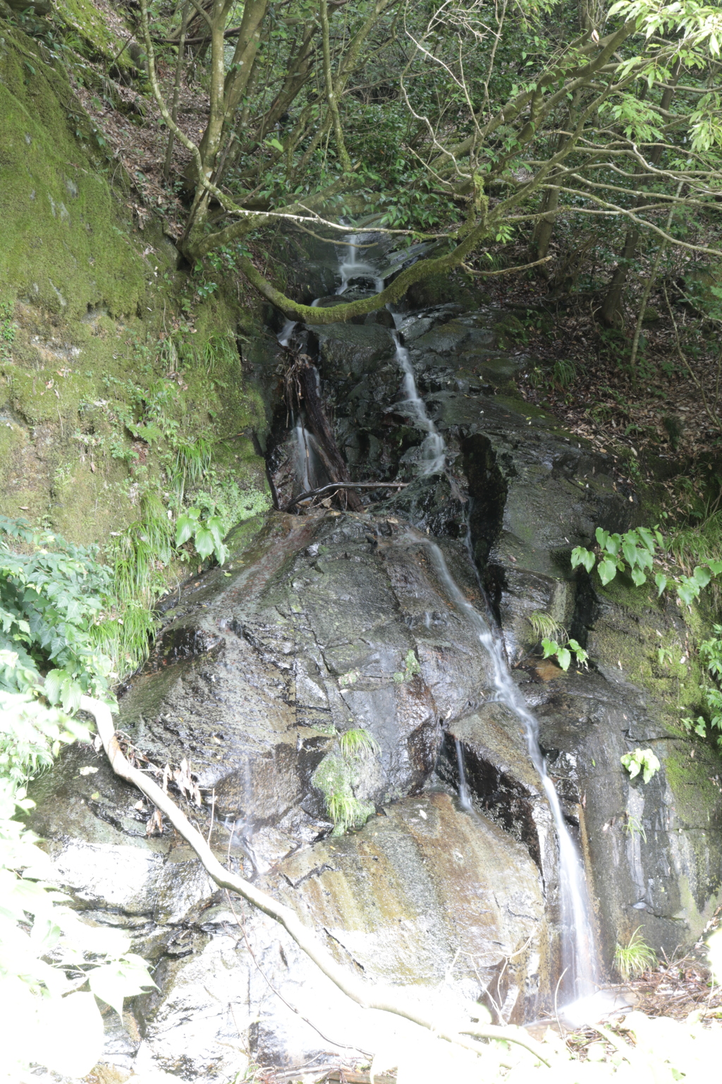 ねじ仏の滝（仮称）