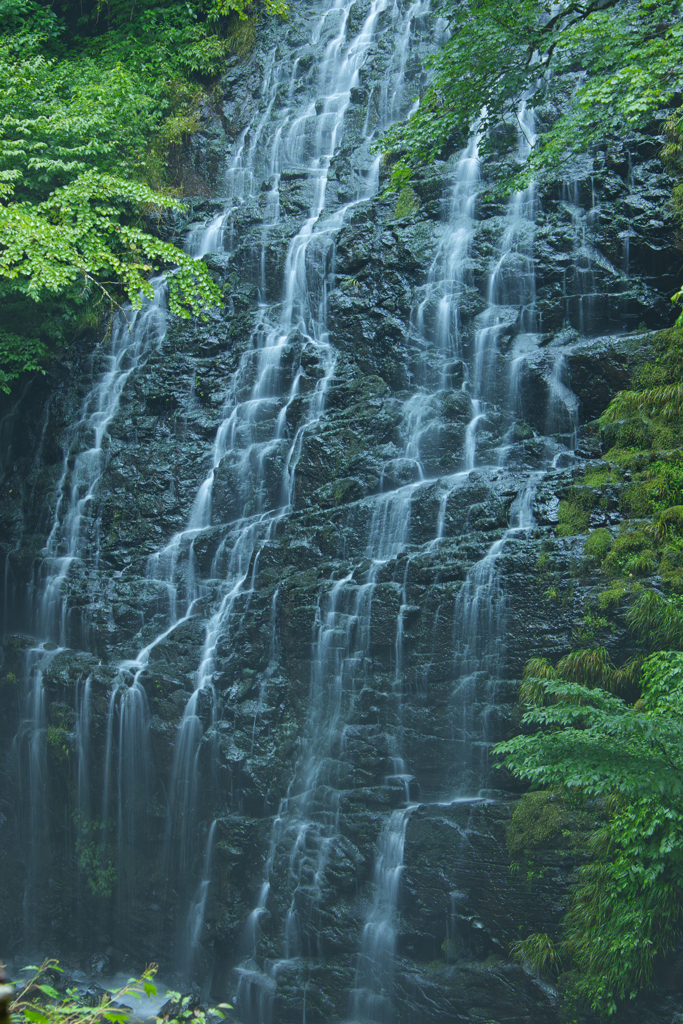清涼