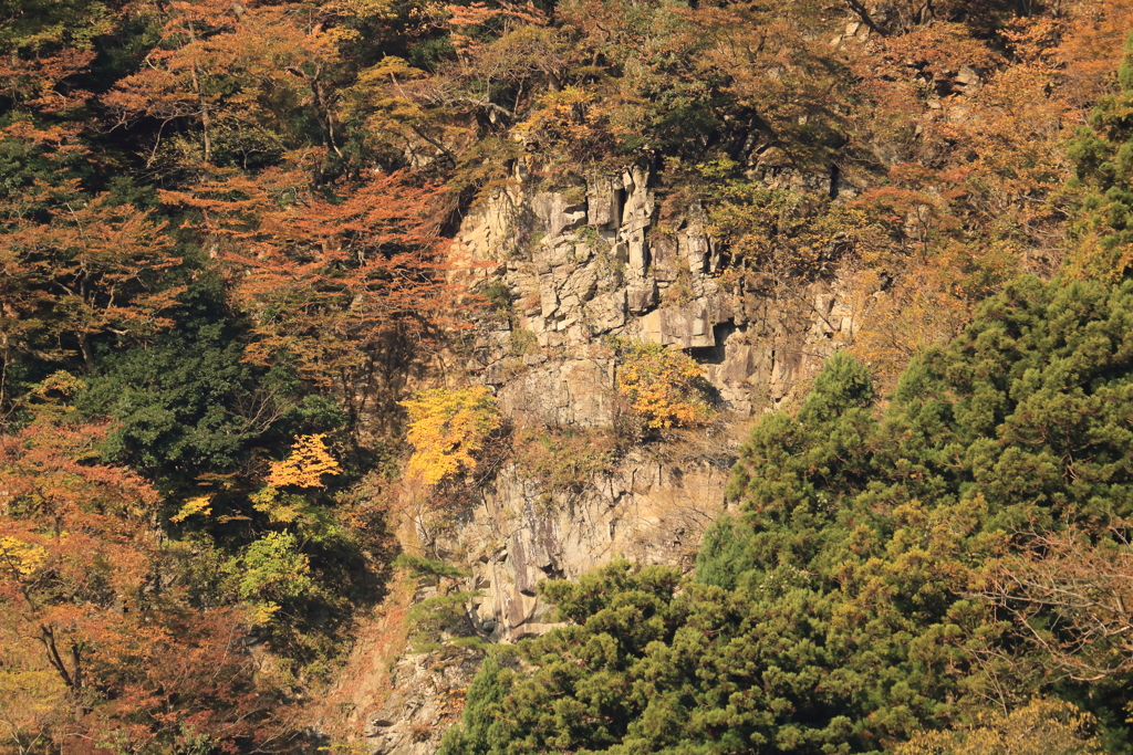 断崖の紅葉