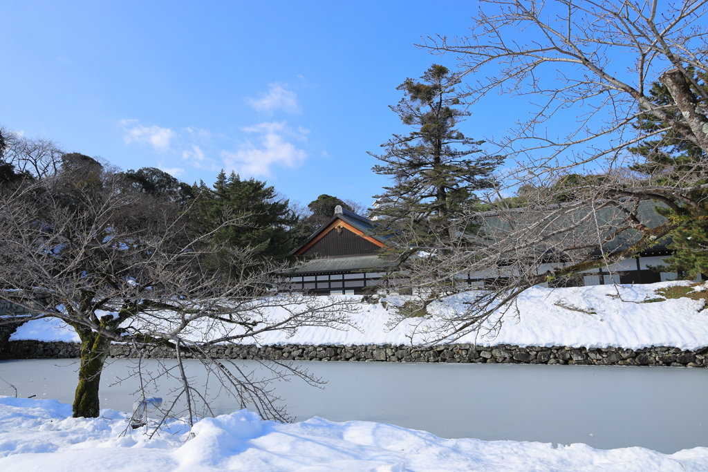 埋まるお堀
