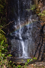 円明の滝 虹