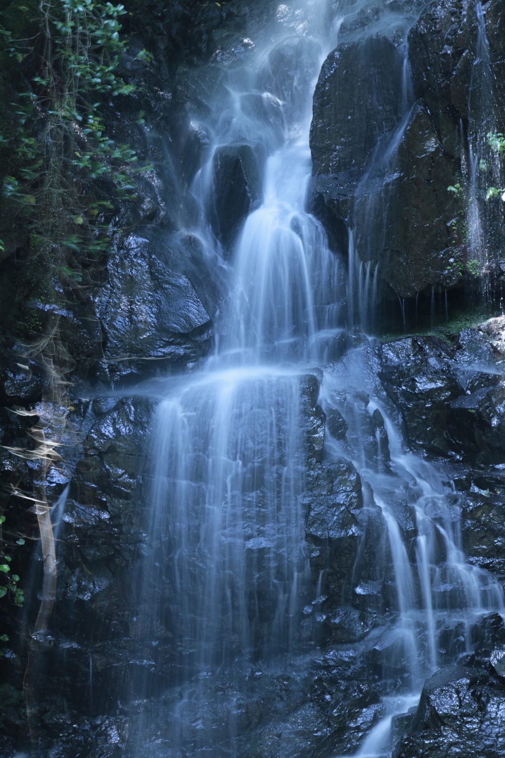 鳴滝　中段
