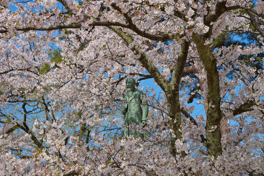 つつまれて