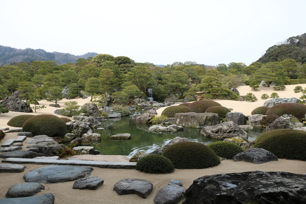 庭園と池