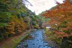 高雄橋からの清滝川紅葉