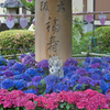 花手水